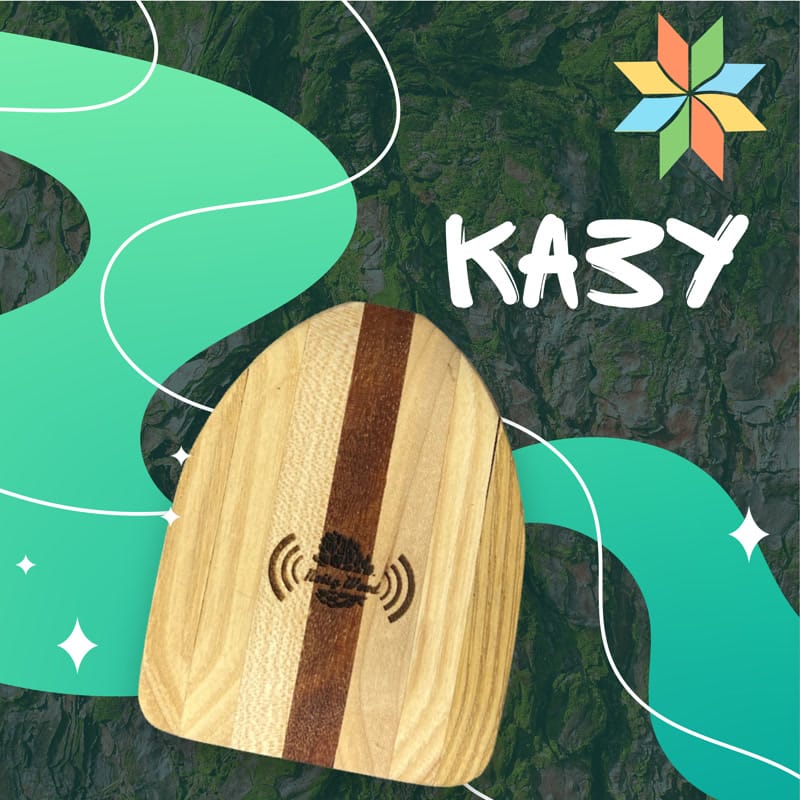 Дерев'яні інструменти